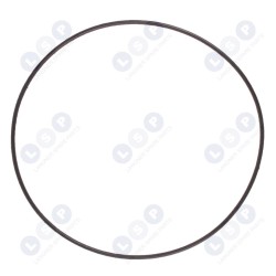 O veida gredzens, gredzens, 1600210033 GWS 20-230, 21-230 (5903794706682)