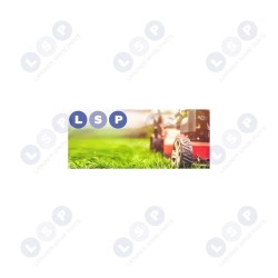 BRIGGS STRATTON ĀTRUMA REGULATORA ATSPERU KOMPLEKTS ZĀLES PĻĀVĒJAM (5903794733800)