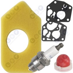 BRIGGS STRATTON filtra sūkņa membrāna BS ()