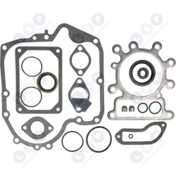 BRIGGS STRATTON 10-21HP 697110 OHV AVS blīvju komplekts (5903794733879)