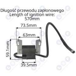 Aizdedzes spoles modulis BRIGGS STRATTON 7 - 16KM 398811 (5903794735538)