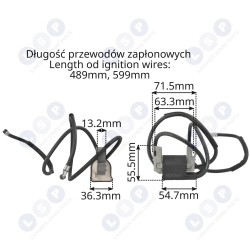 Aizdedzes spoles modulis BRIGGS STRATTON 16-18 ZS 2 CILINDRIEM (5903794735583)