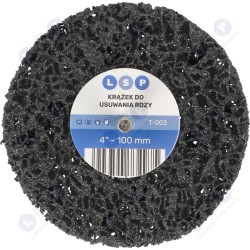 Disks rūsas noņemšanai no melniem matiem 100 MM (5903794734975)