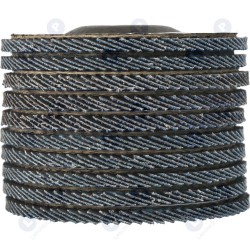 CIRKONIJA LAPU DISKS 40 X 10 (5903794738577)